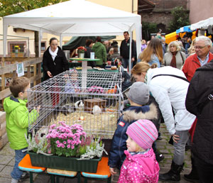 bauernmarkt 2014 1