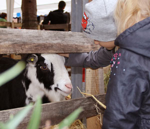 bauernmarkt 2014 2