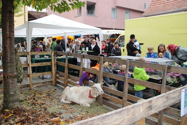 bauernmarkt 2014 3